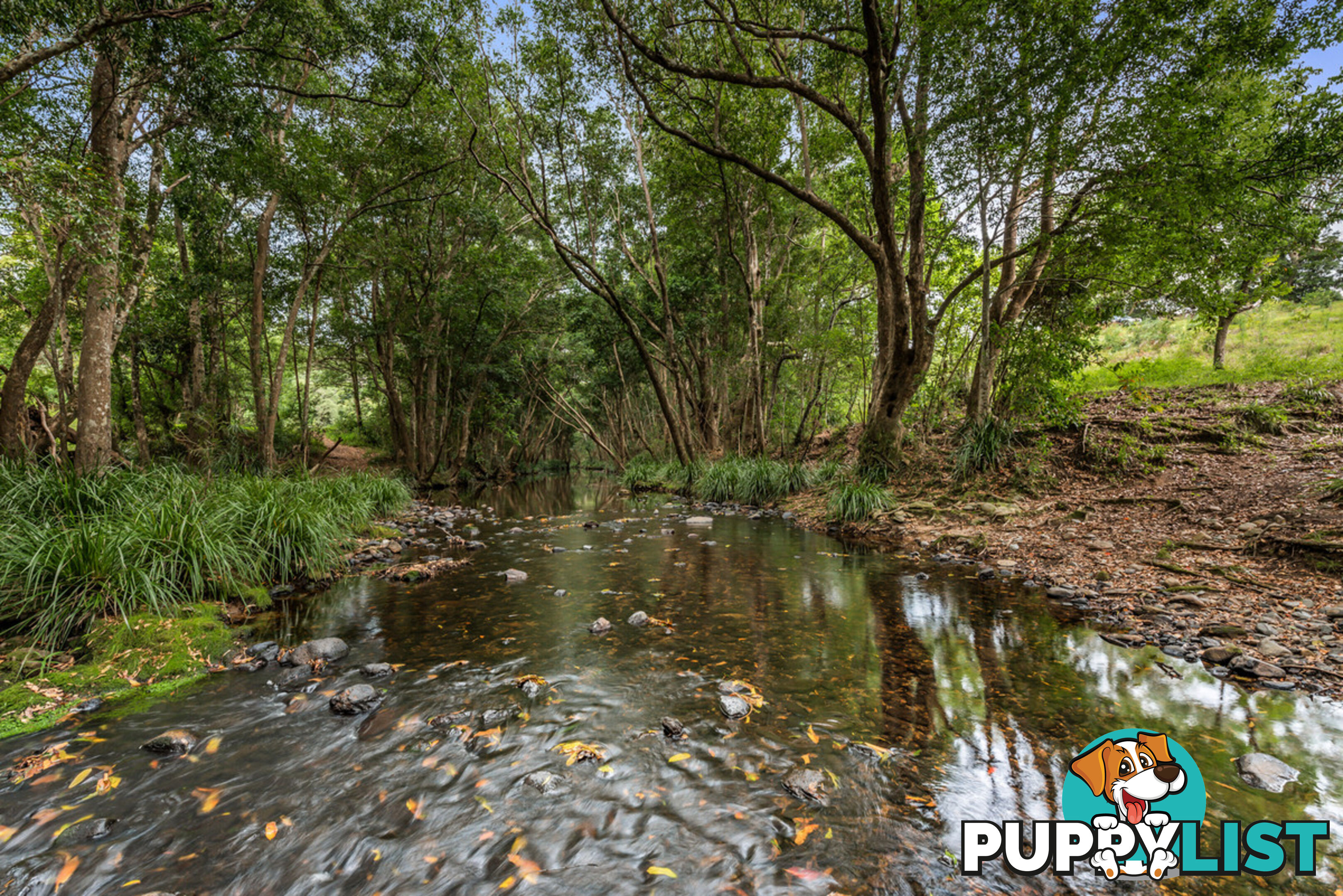 43-53 Branch Creek Road Clear Mountain QLD 4500