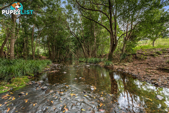 43-53 Branch Creek Road Clear Mountain QLD 4500