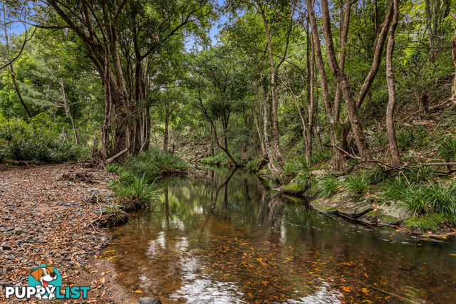 43-53 Branch Creek Road Clear Mountain QLD 4500