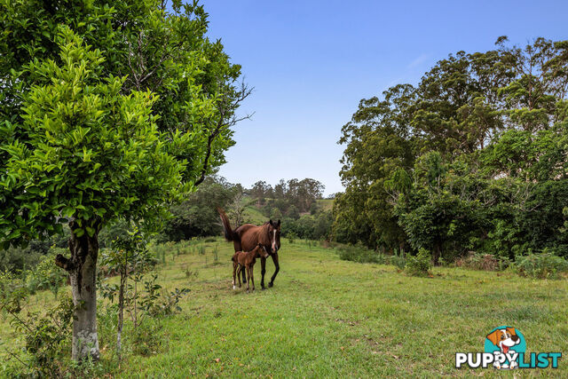 43-53 Branch Creek Road Clear Mountain QLD 4500