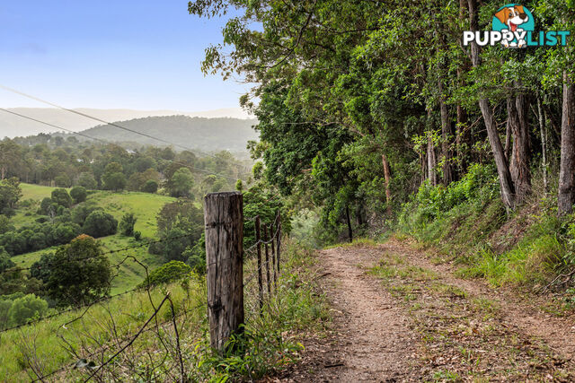 43-53 Branch Creek Road Clear Mountain QLD 4500