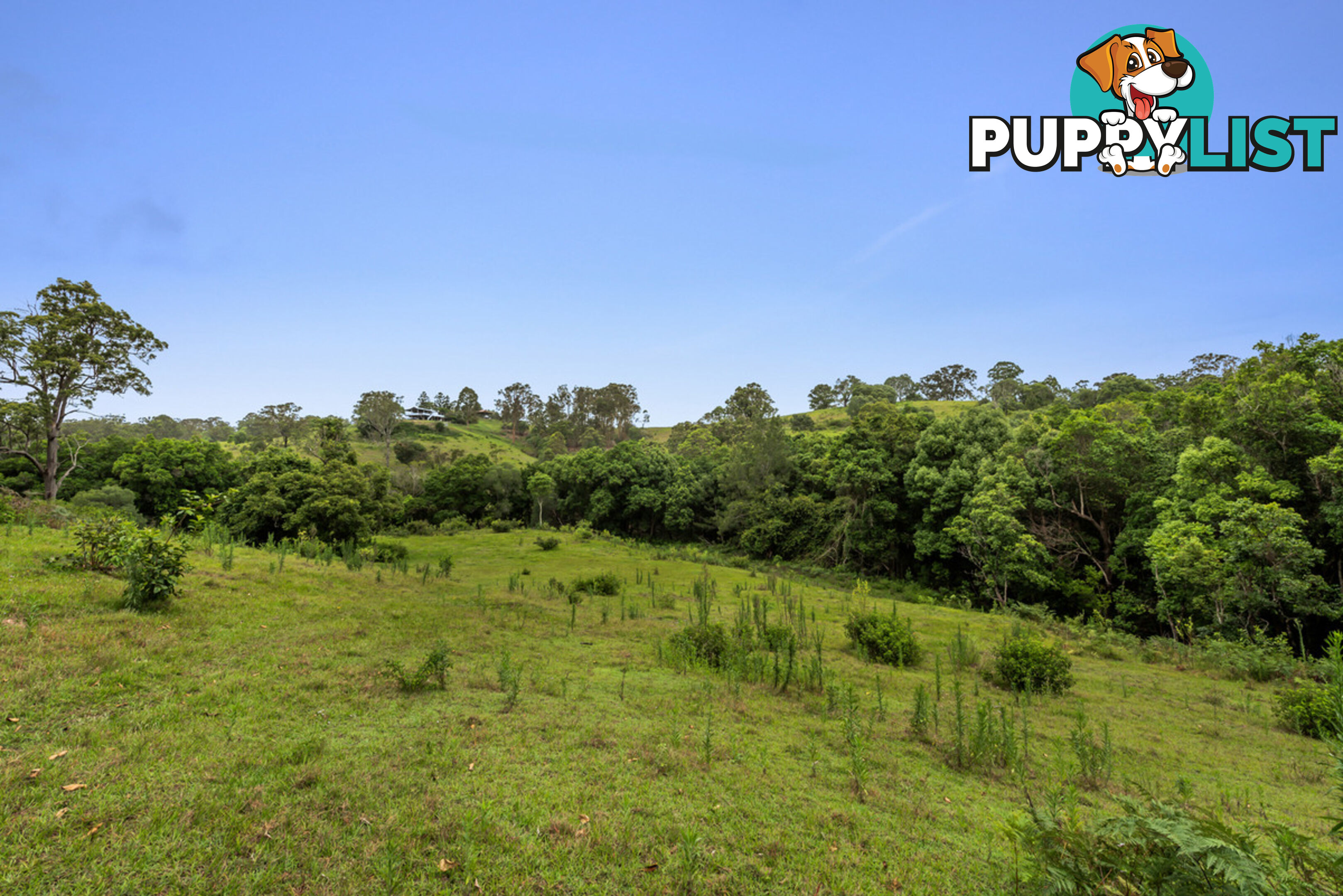 43-53 Branch Creek Road Clear Mountain QLD 4500