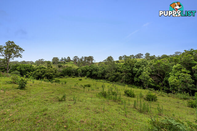 43-53 Branch Creek Road Clear Mountain QLD 4500