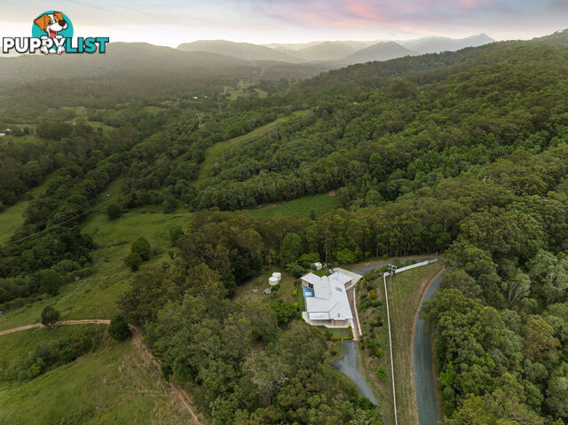 43-53 Branch Creek Road Clear Mountain QLD 4500