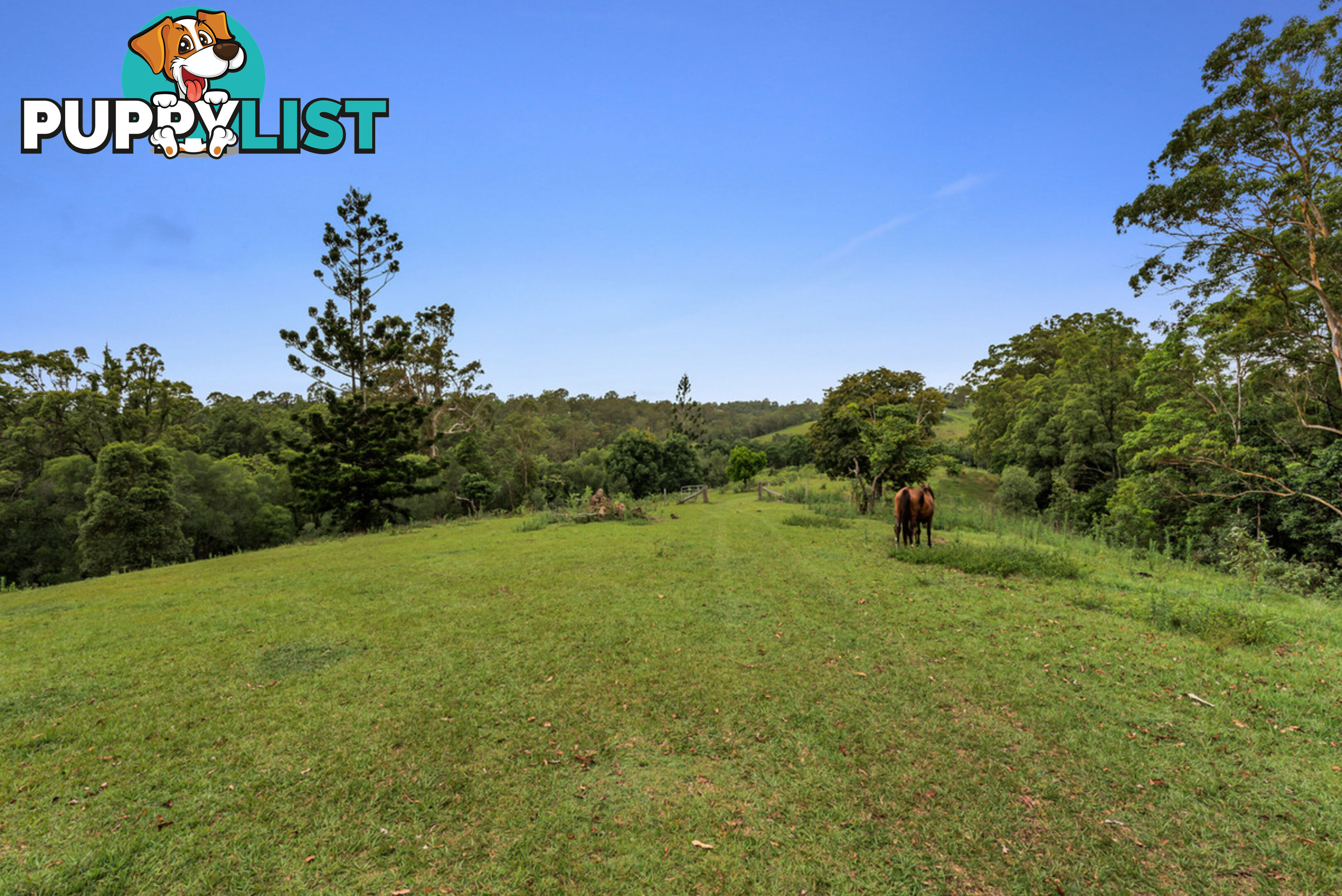 43-53 Branch Creek Road Clear Mountain QLD 4500