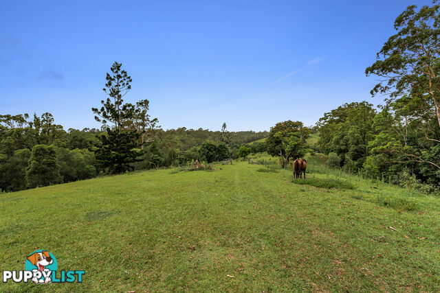 43-53 Branch Creek Road Clear Mountain QLD 4500