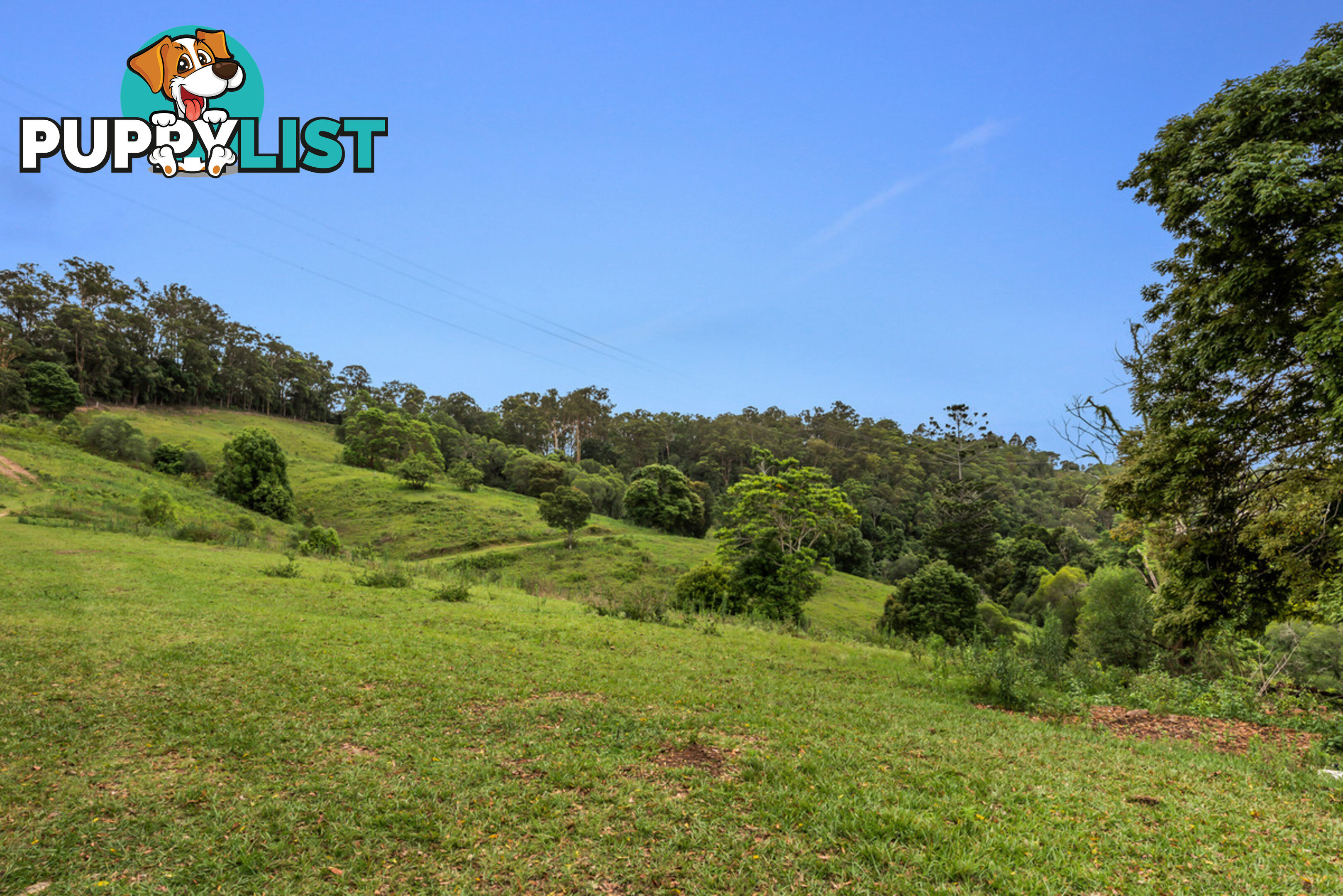 43-53 Branch Creek Road Clear Mountain QLD 4500