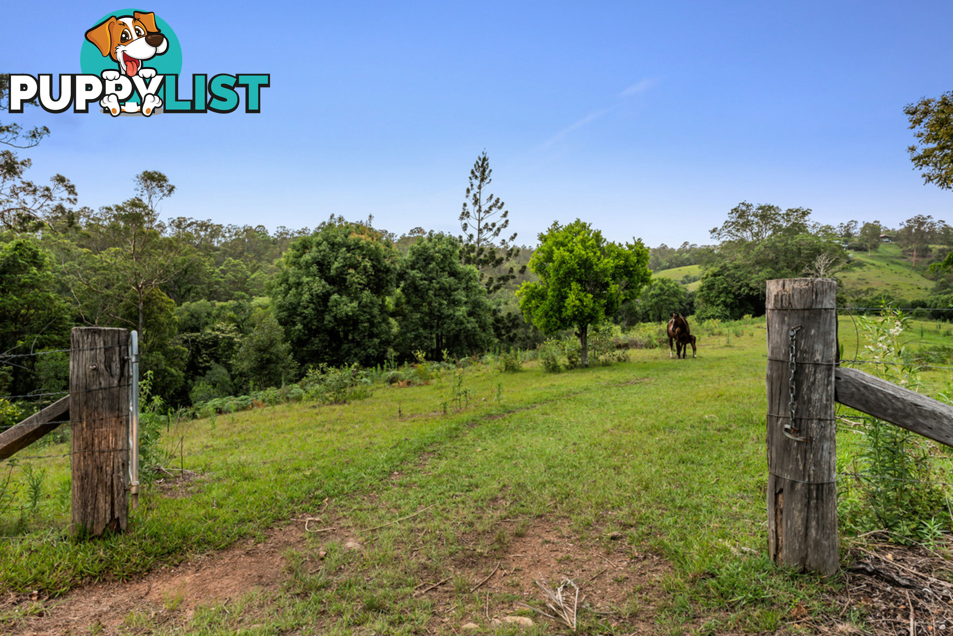 43-53 Branch Creek Road Clear Mountain QLD 4500