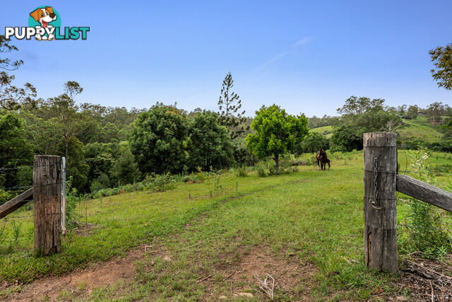 43-53 Branch Creek Road Clear Mountain QLD 4500