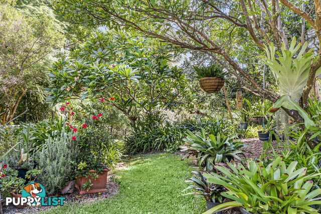 24 Brushwood Drive Samford Valley QLD 4520