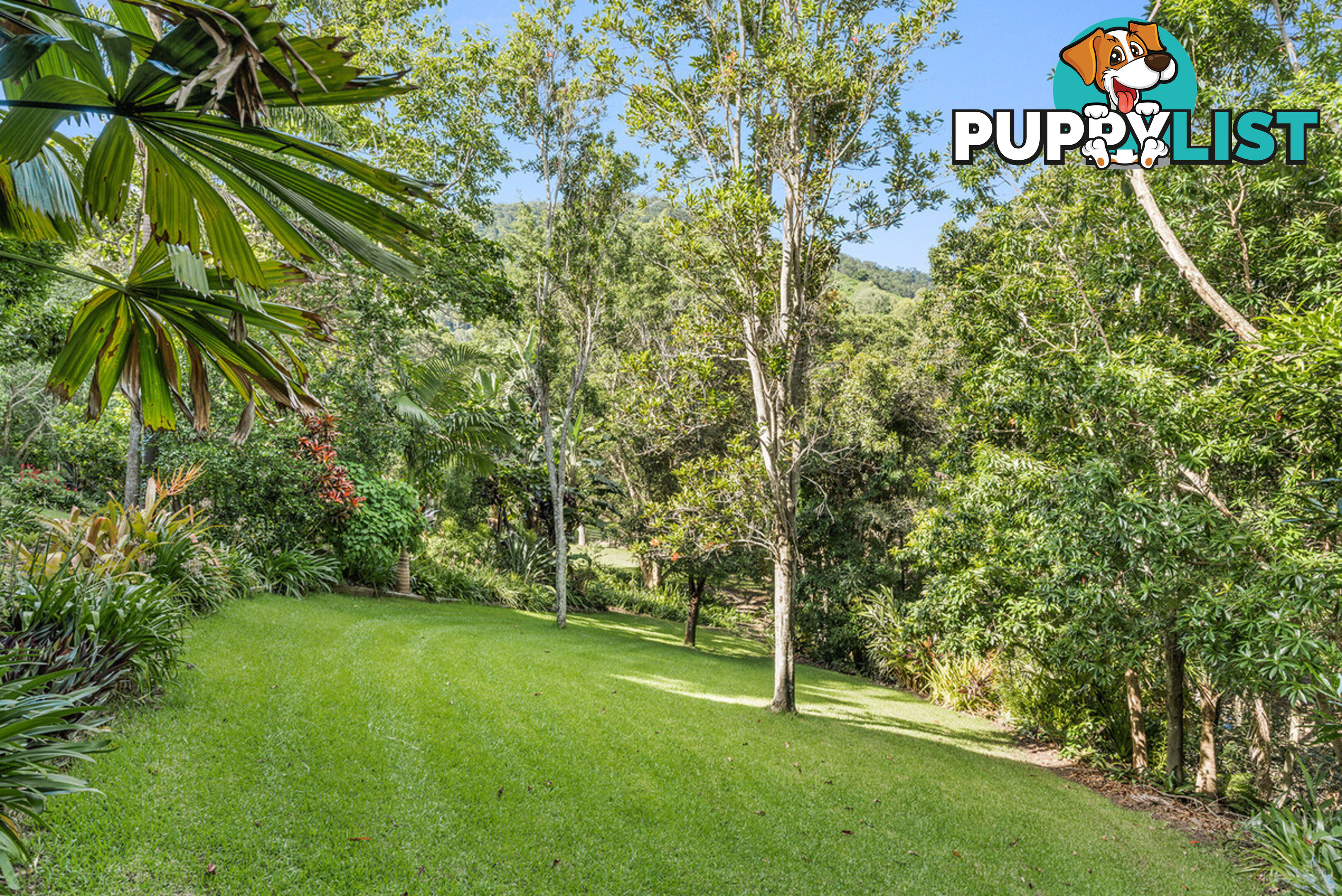 24 Brushwood Drive Samford Valley QLD 4520