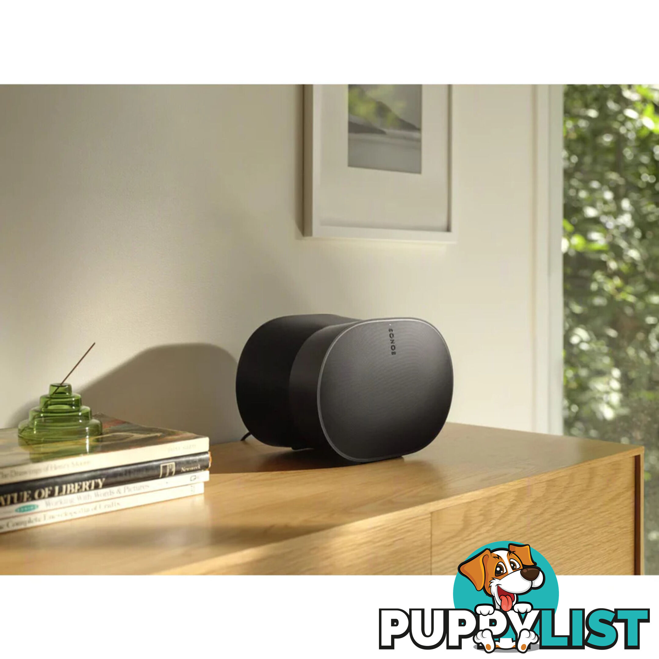 Sonos Era 300 Speaker in Black