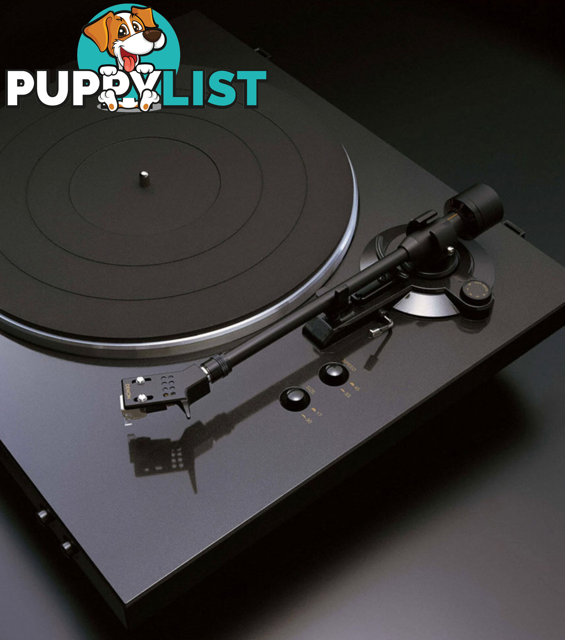 Denon DP-300F Fully Automatic Analog Turntable