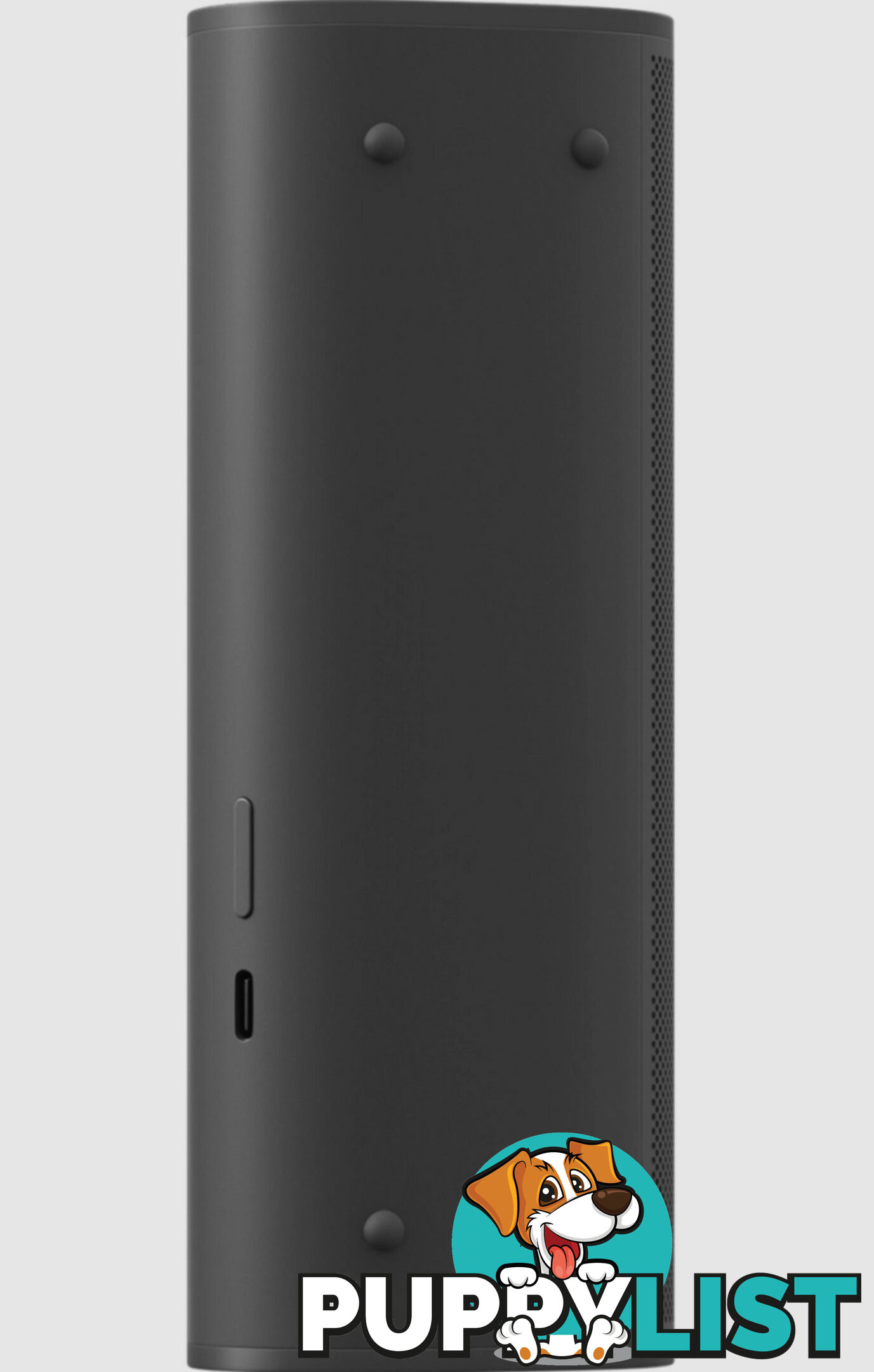 Sonos Roam