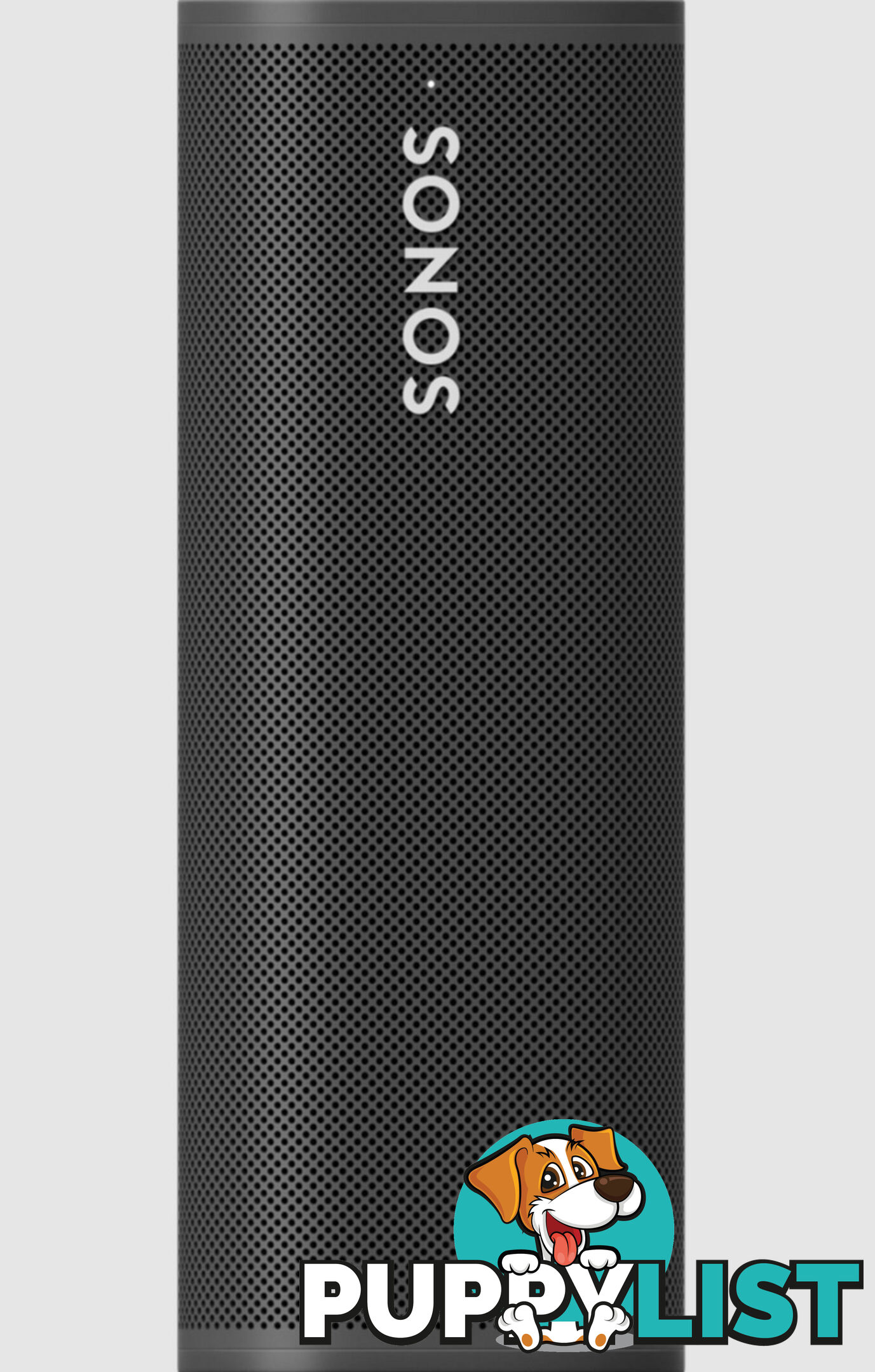 Sonos Roam