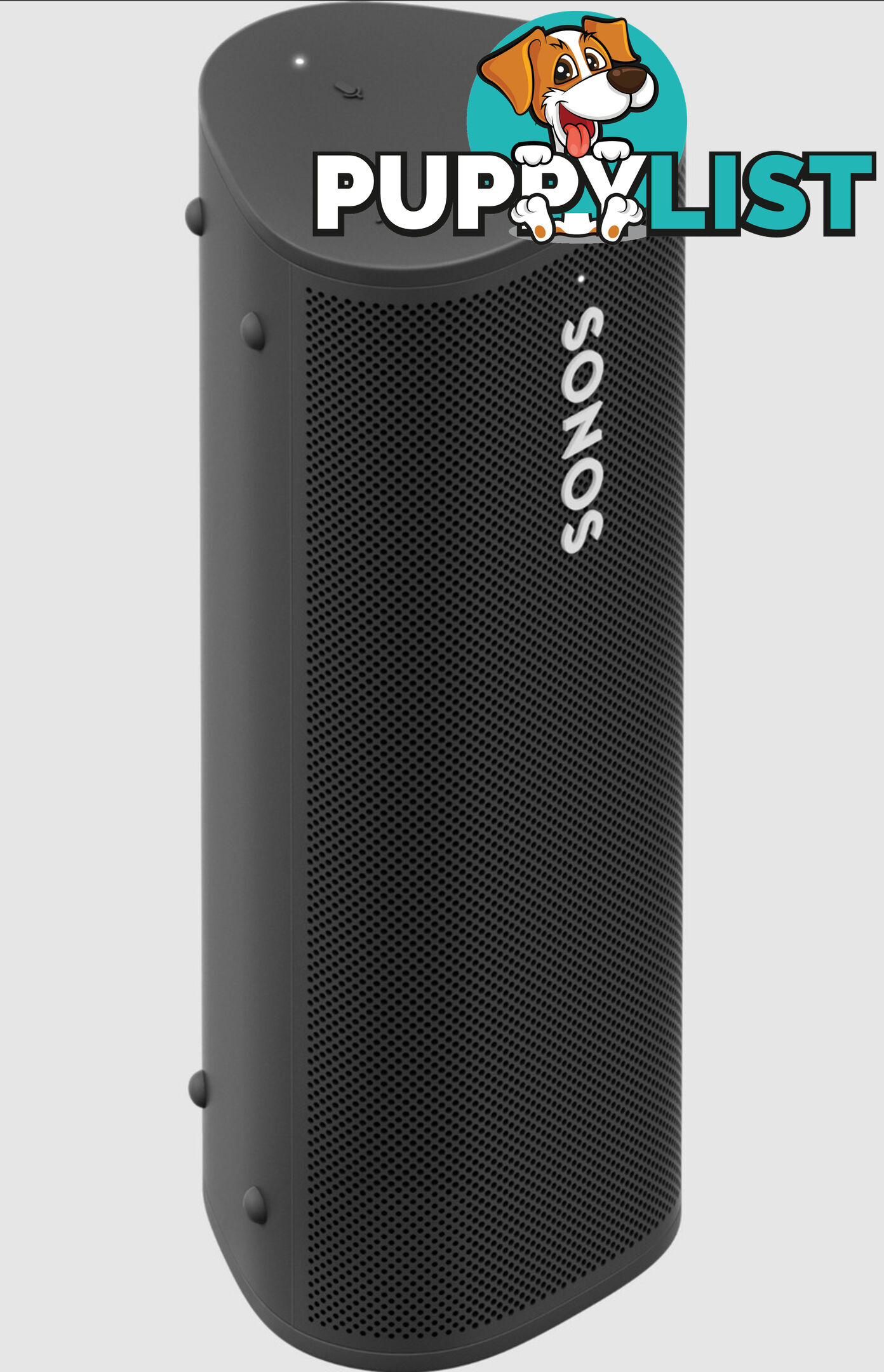 Sonos Roam