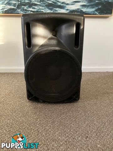 Active PA Speaker