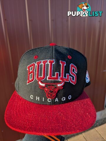 Chicago Bulls Baseball Cap