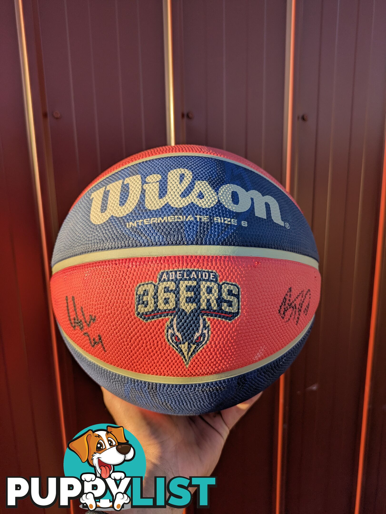 Adelaide 36ers basketball with player signatures