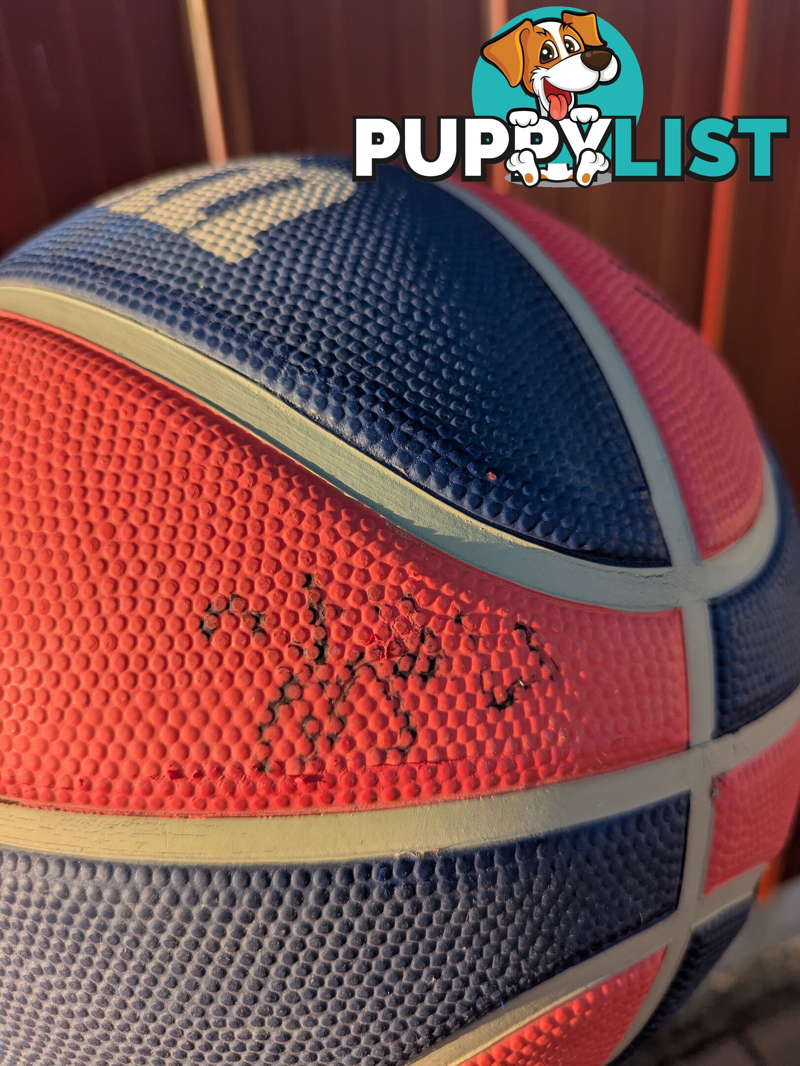 Adelaide 36ers basketball with player signatures