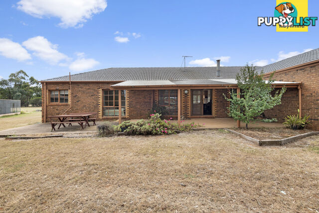 12 Knox Court KURUNJANG VIC 3337