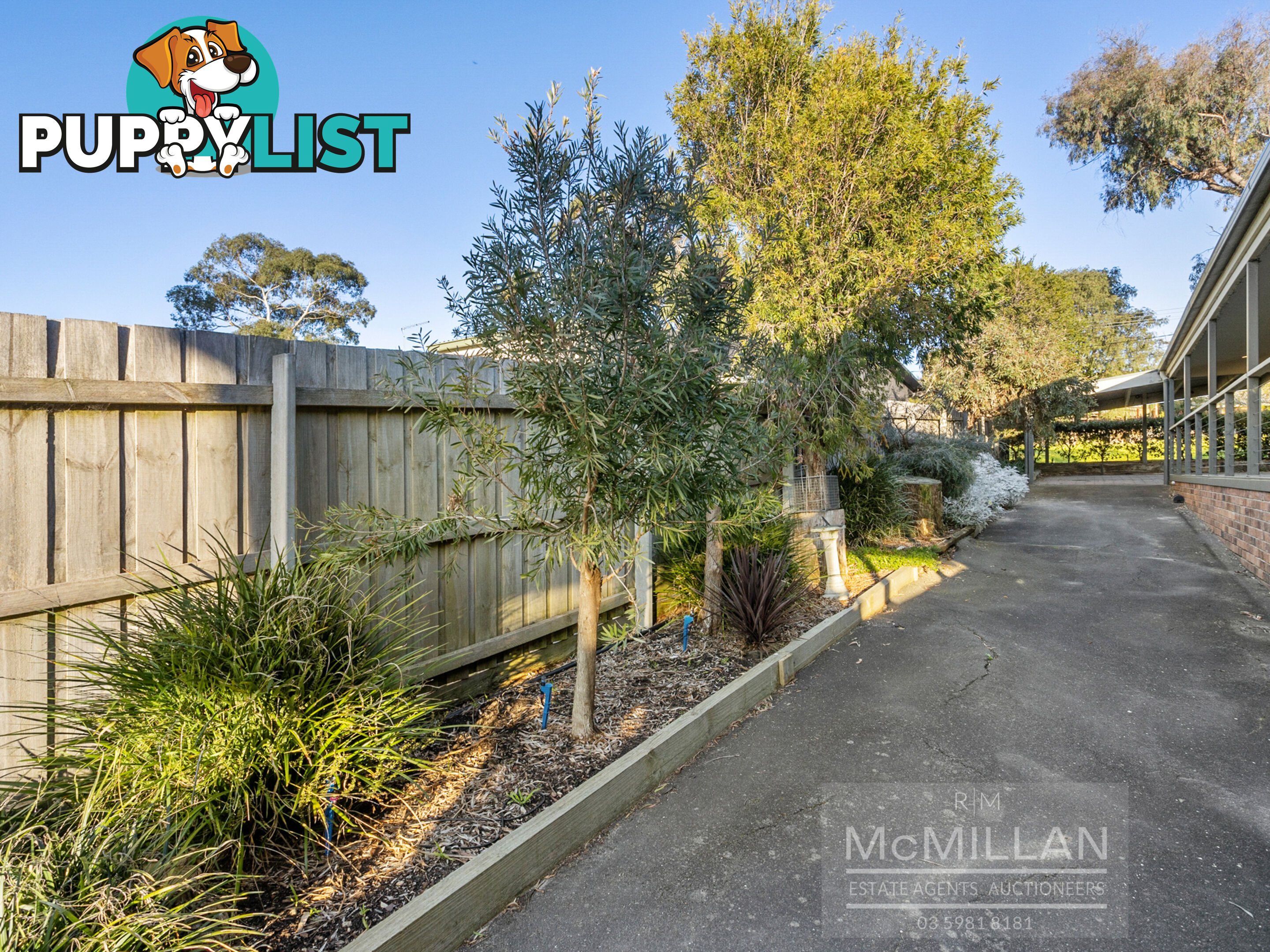 12 Coleus Street Dromana VIC 3936