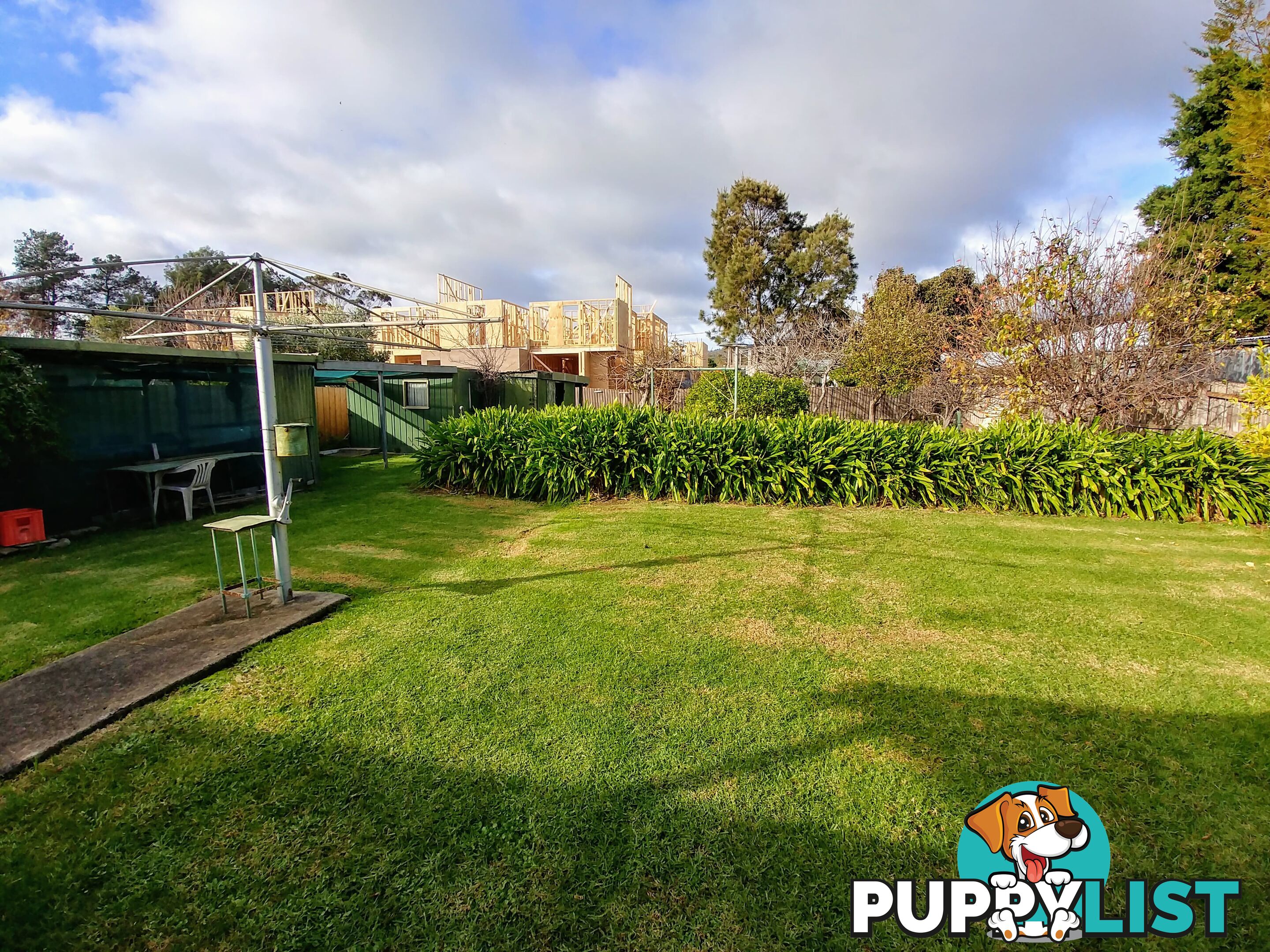 137 Palmerston Avenue Dromana VIC 3936