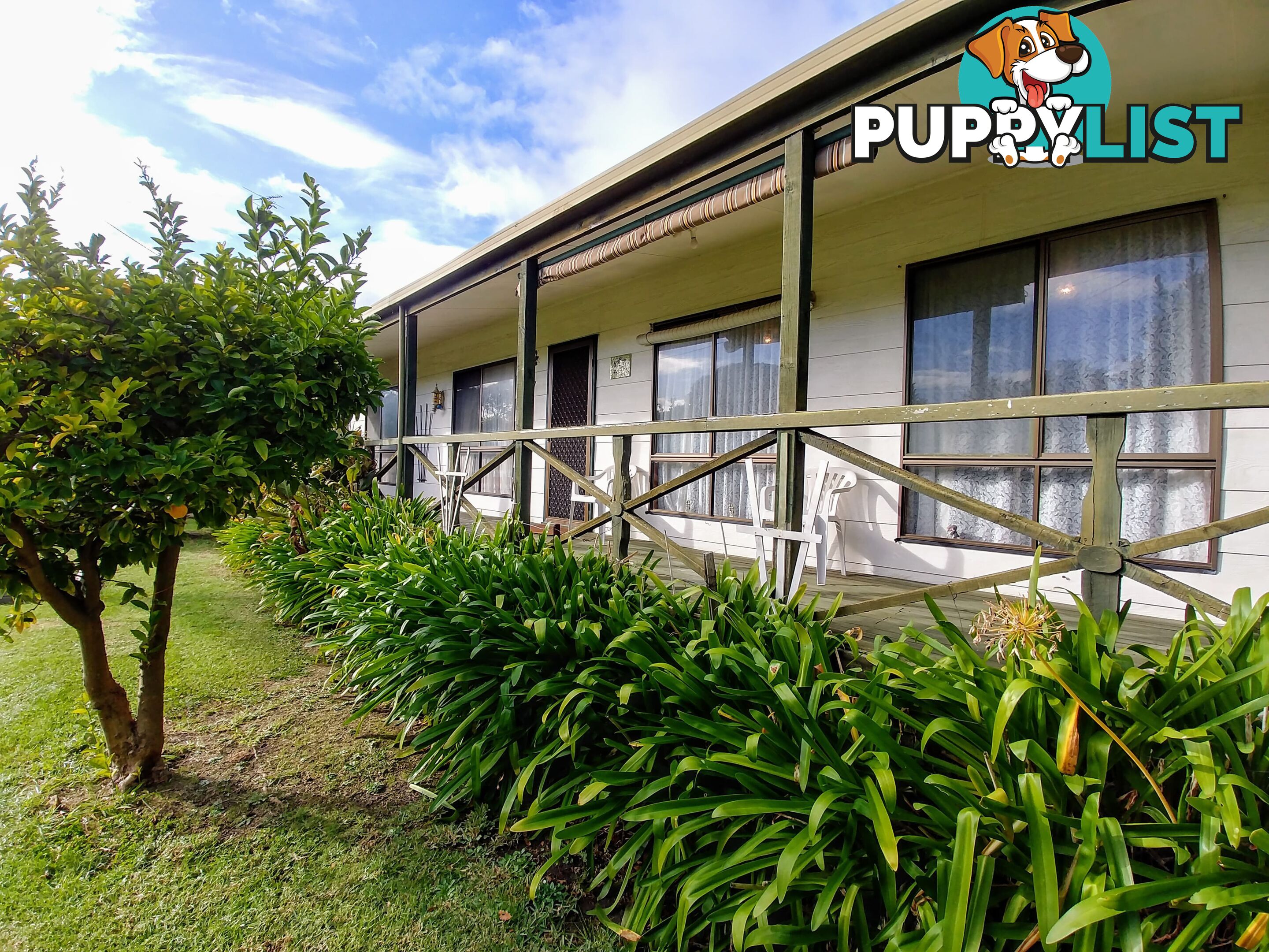 137 Palmerston Avenue Dromana VIC 3936