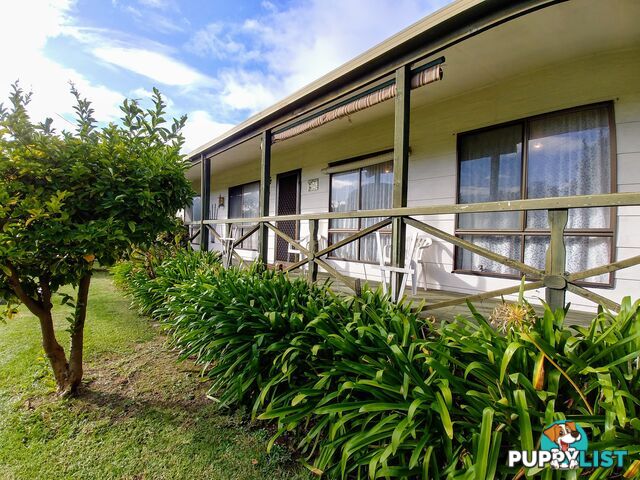 137 Palmerston Avenue Dromana VIC 3936