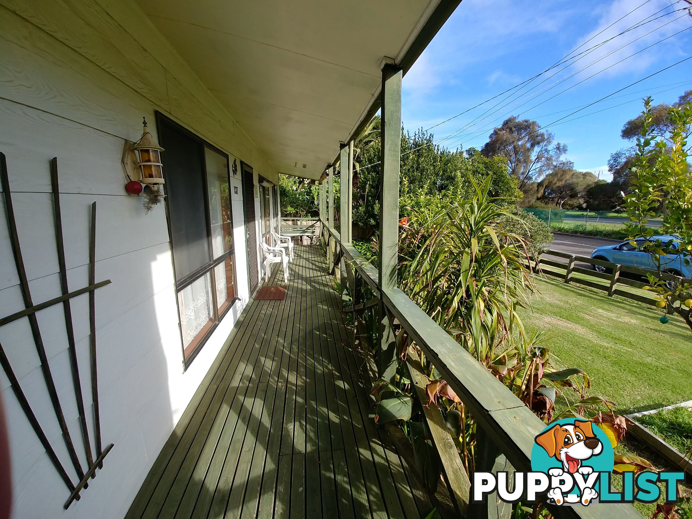 137 Palmerston Avenue Dromana VIC 3936