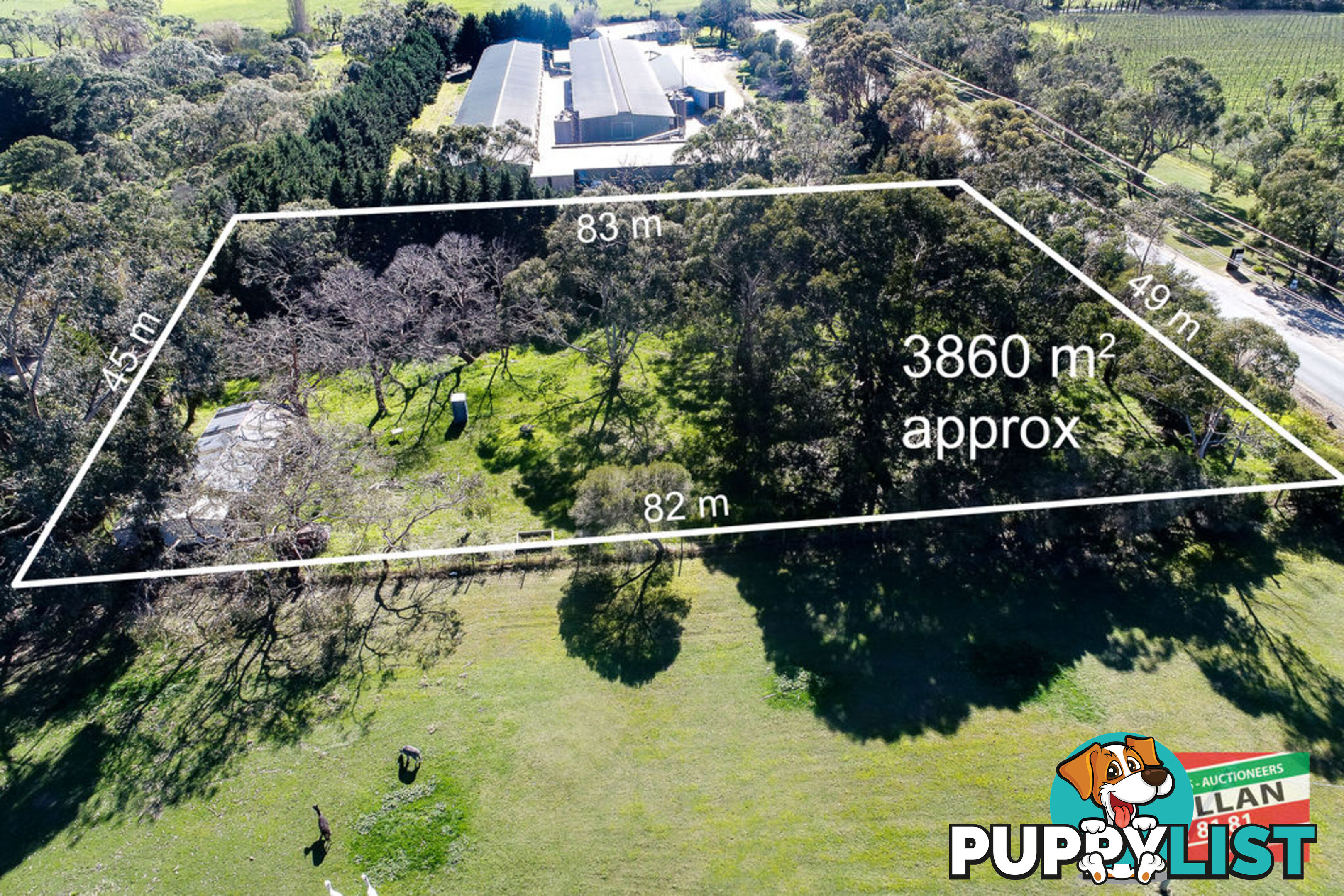 20 Harrisons Road Dromana VIC 3936