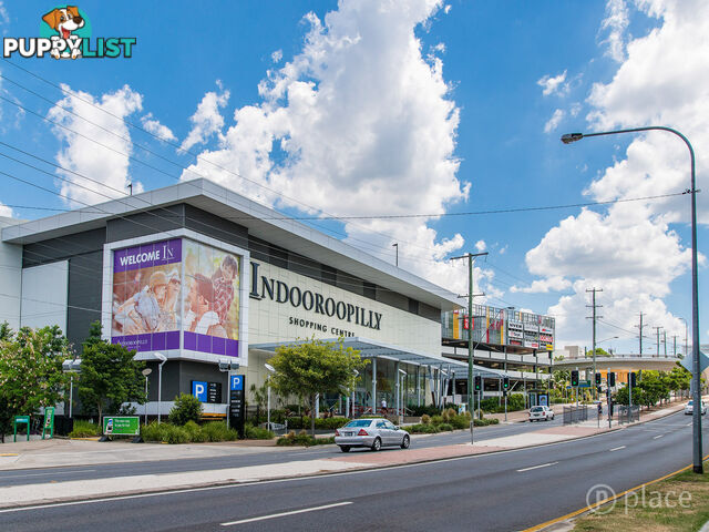 20 24 Allwood Street Indooroopilly QLD 4068