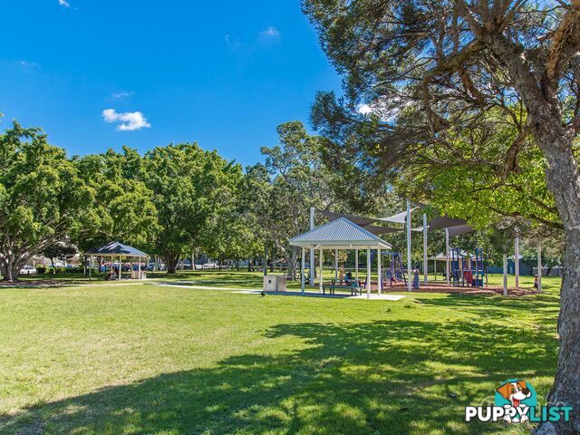 20 24 Allwood Street Indooroopilly QLD 4068