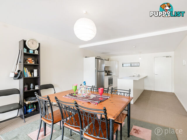 244 8 Musgrave Street West End QLD 4101
