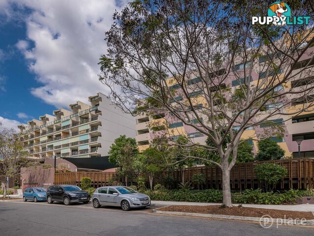 244 8 Musgrave Street West End QLD 4101