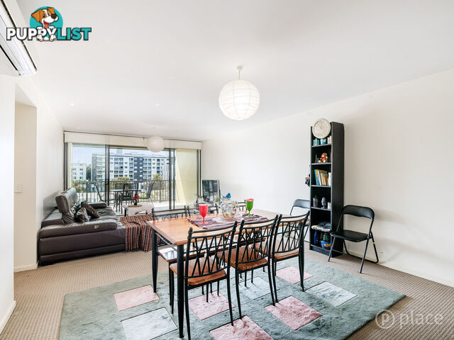 244 8 Musgrave Street West End QLD 4101