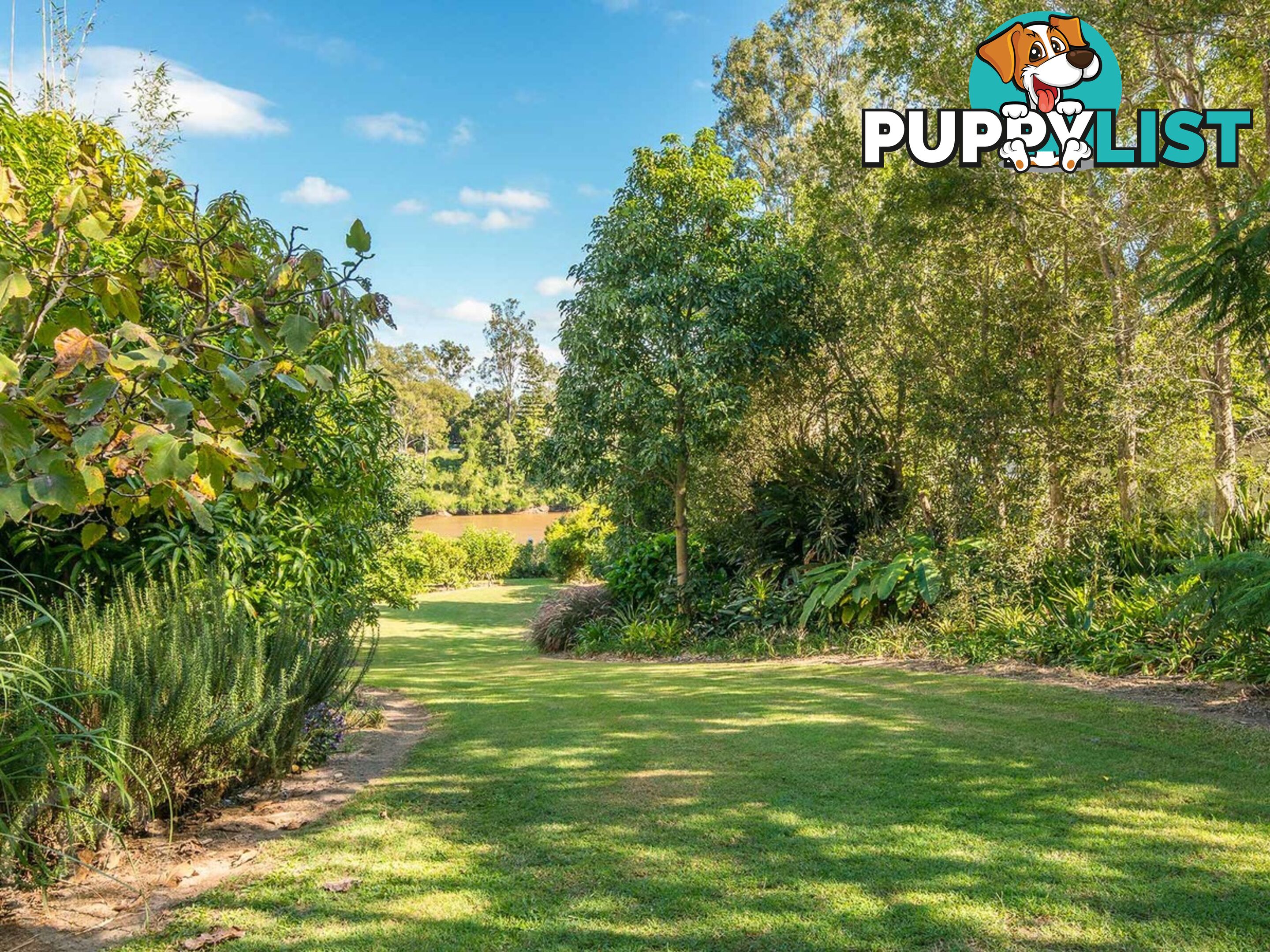 20 Douglas Street Sherwood QLD 4075