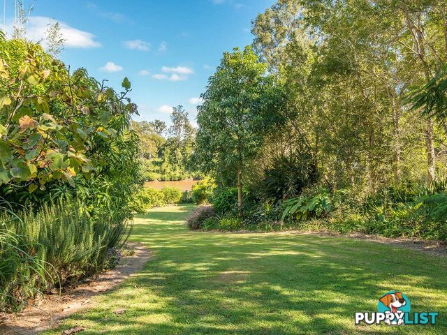 20 Douglas Street Sherwood QLD 4075