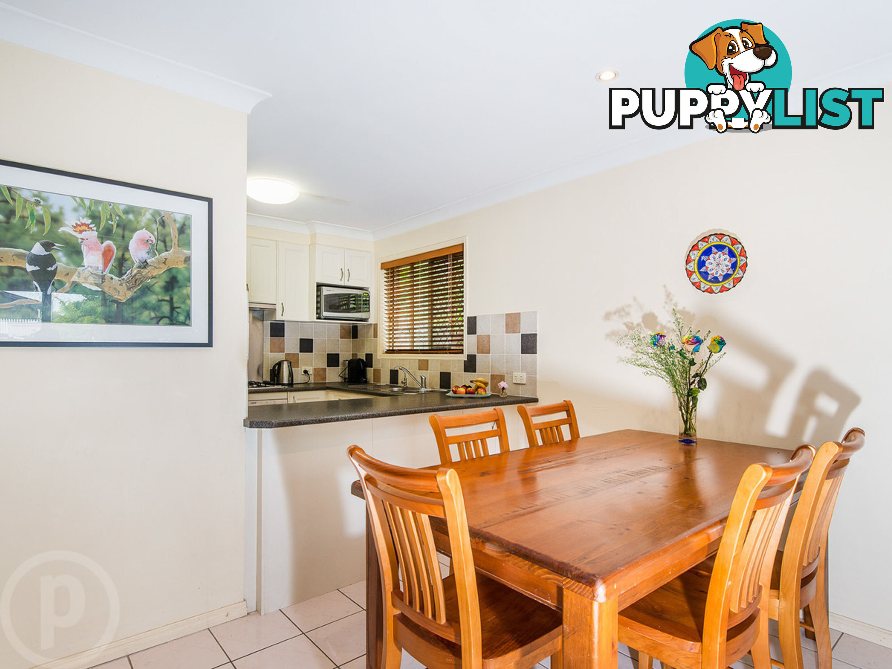 57 Chancellor Street Sherwood QLD 4075