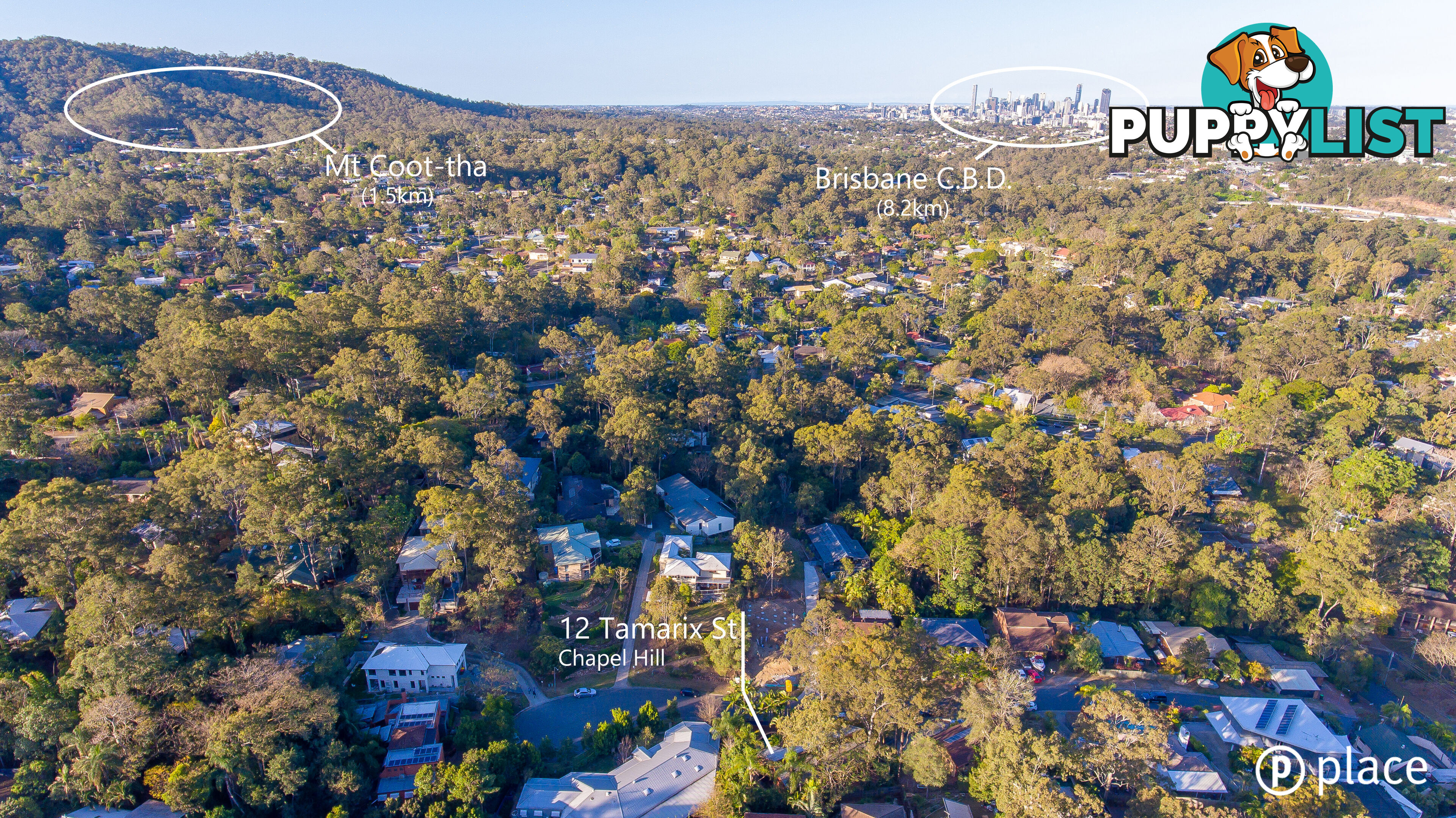 12 Tamarix Street Chapel Hill QLD 4069