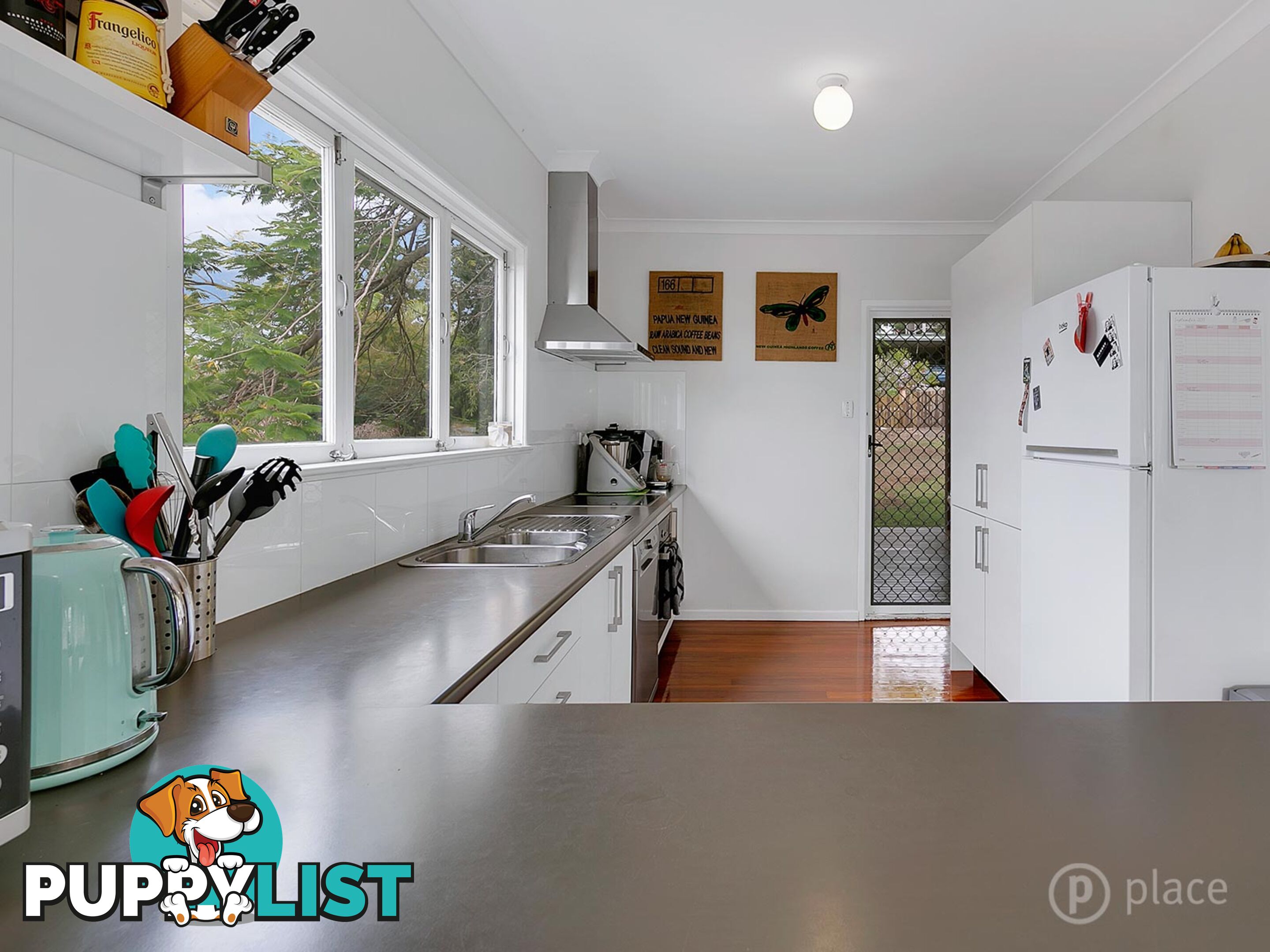 33 Kingsgate Street Oxley QLD 4075