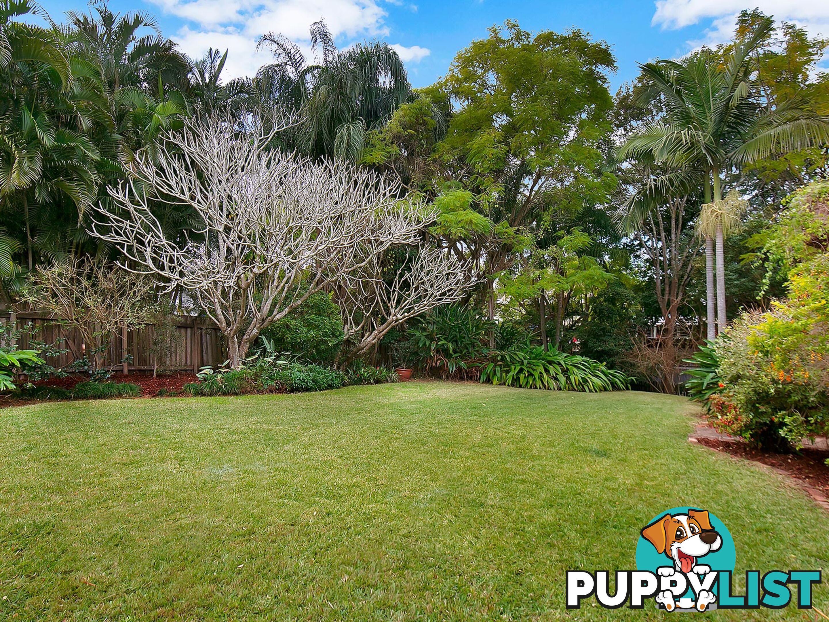 80 Victoria Avenue Chelmer QLD 4068