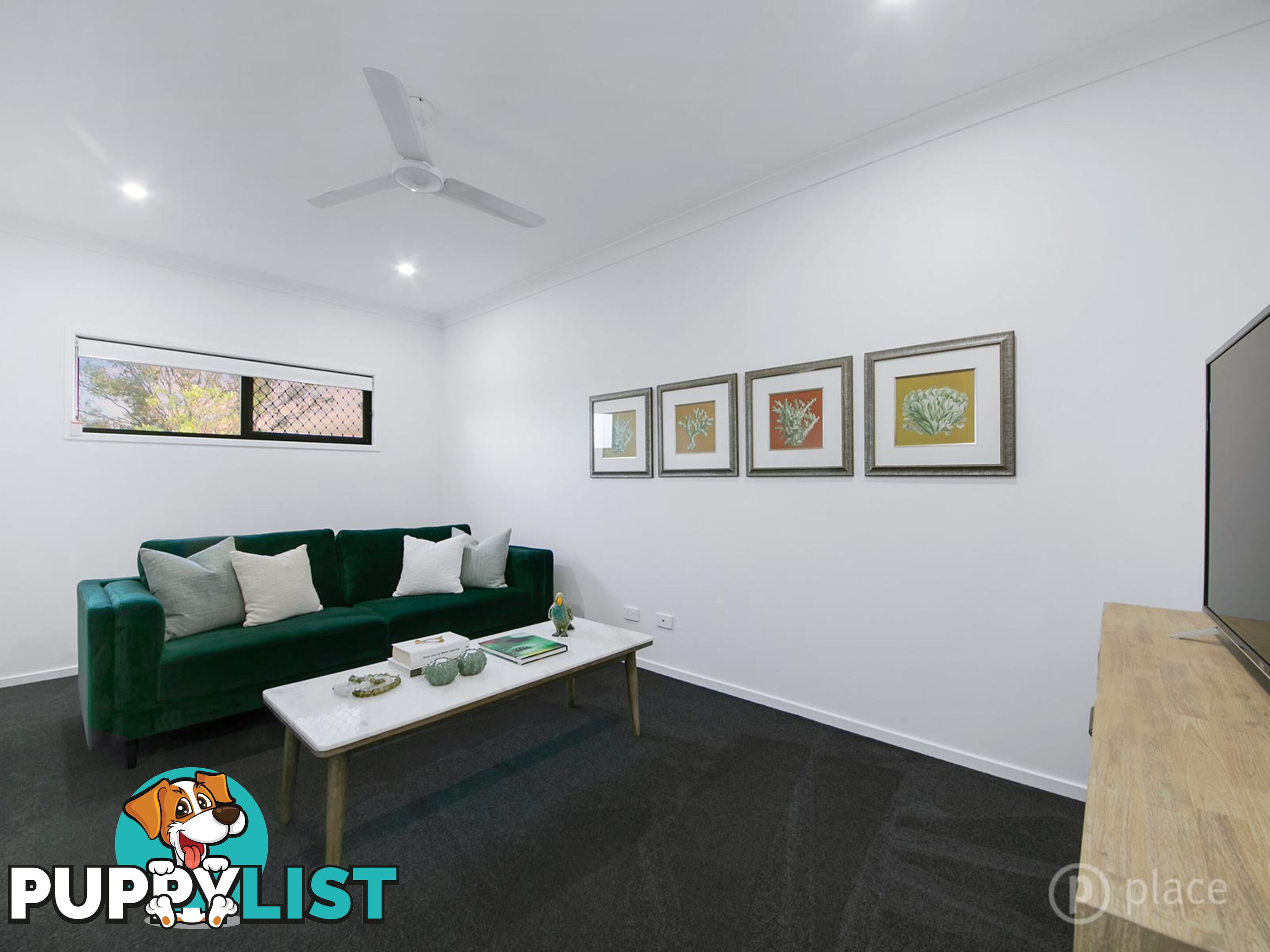 17 Irwin Terrace Oxley QLD 4075