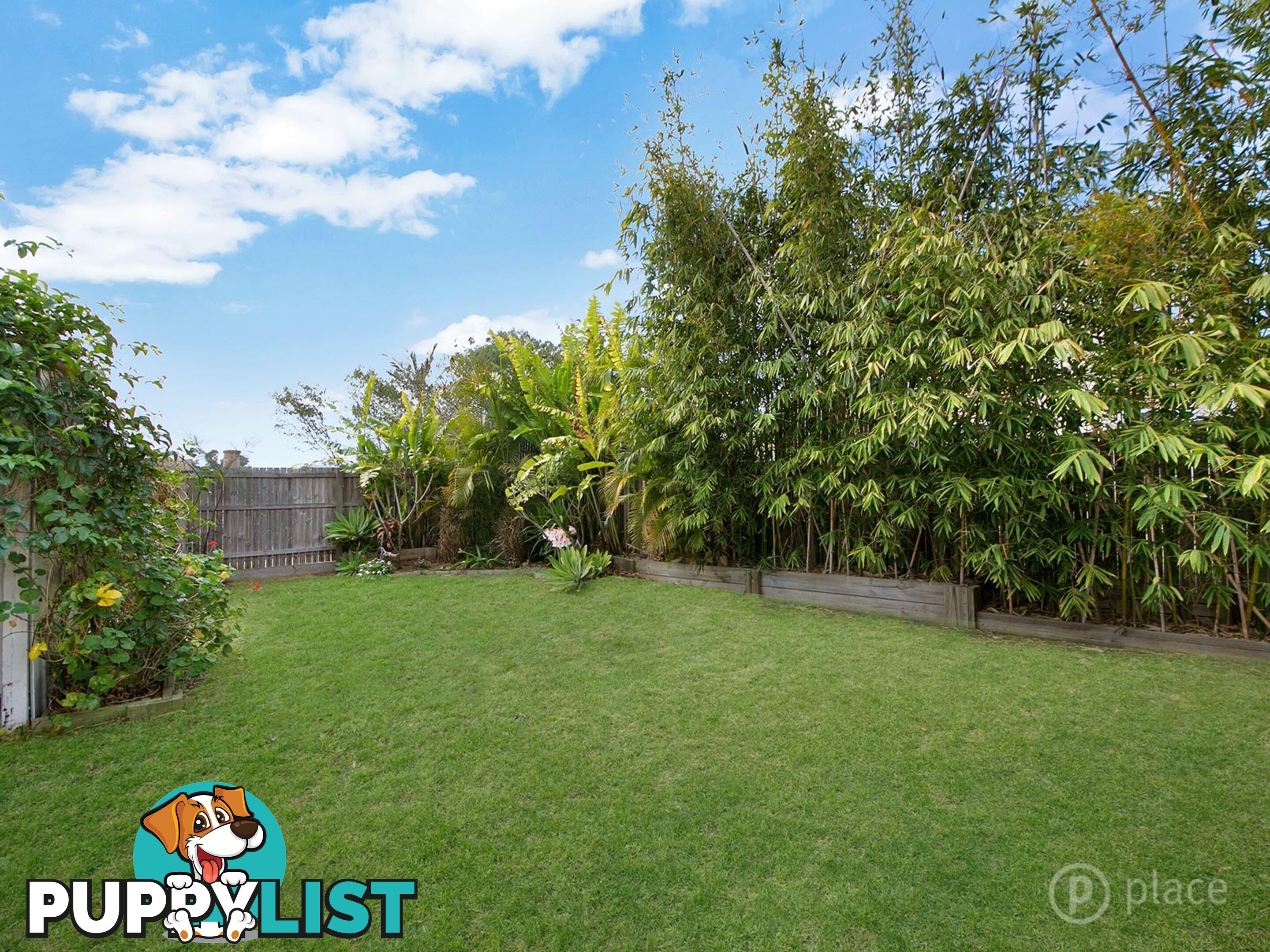 19 Darra Avenue Darra QLD 4076