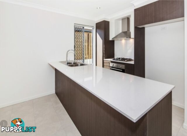 1 4 Eucalyptus Crescent Ripley QLD 4306