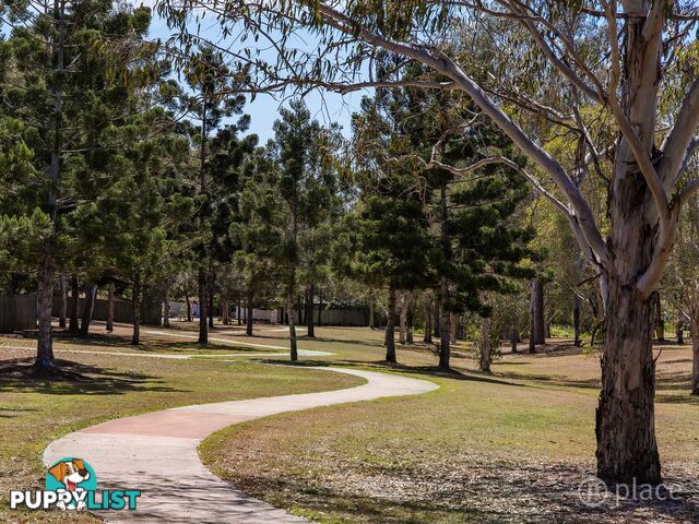 19 Creswick Place Bellbowrie QLD 4070