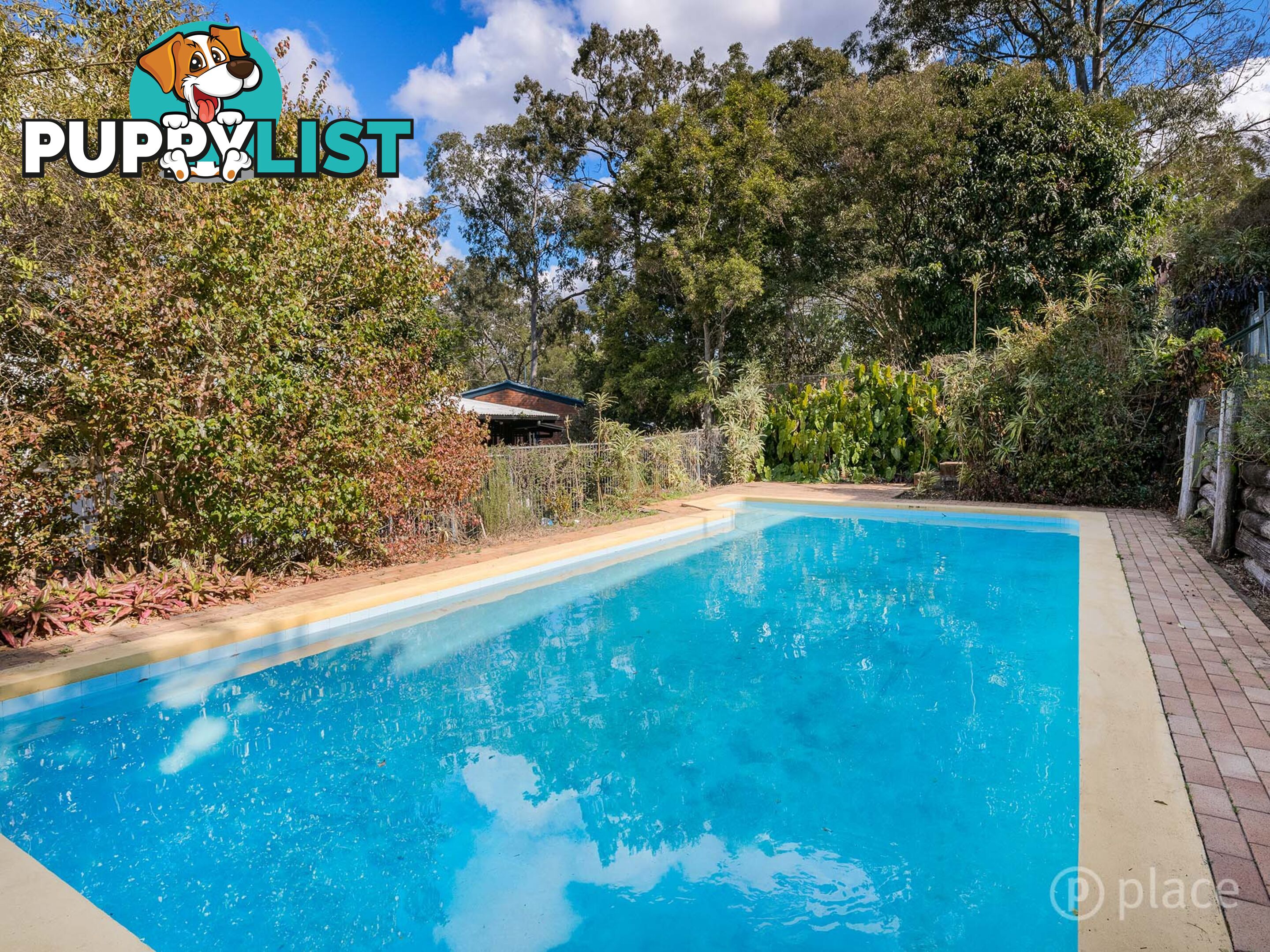 144 Burbong Street Chapel Hill QLD 4069