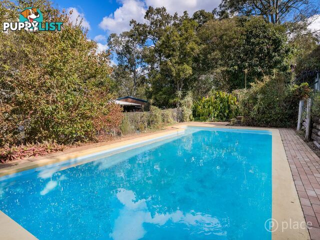 144 Burbong Street Chapel Hill QLD 4069