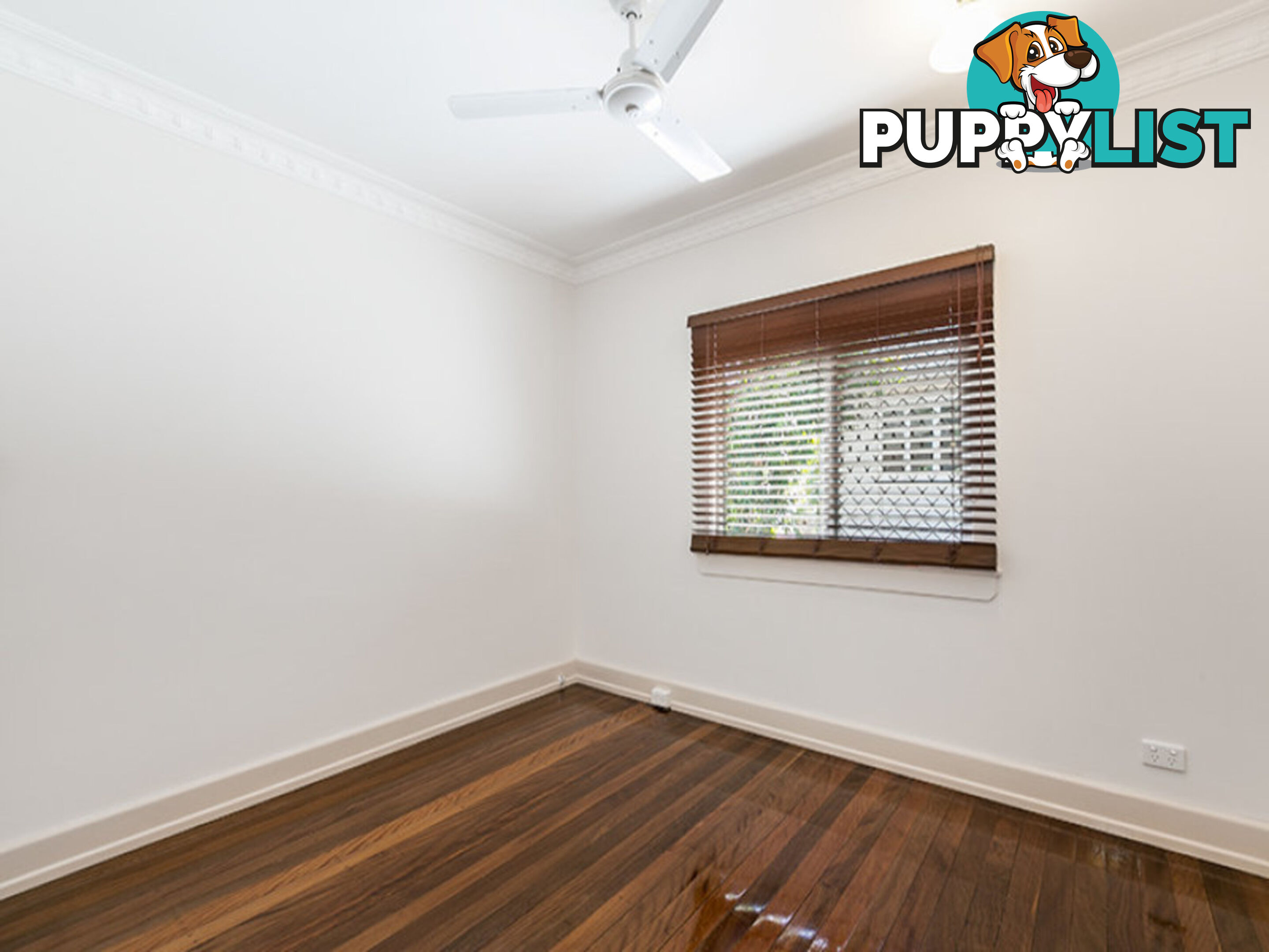 111 Plumer Street SHERWOOD QLD 4075