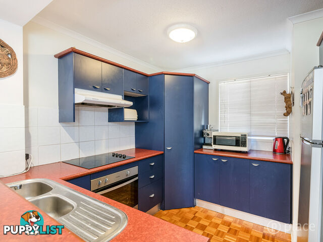 3 83 Fairley Street Indooroopilly QLD 4068